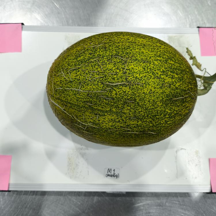 Melon to analyze